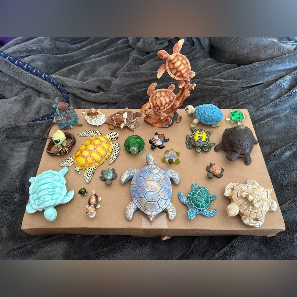 Turtle decor